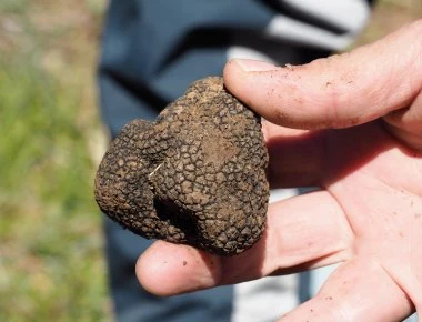 Bloomberg: Ο «θησαυρός» που θα εκτοξεύσει την οικονομία της Ελλάδας και τι έλεγαν οι Αρχαίοι (φωτό)